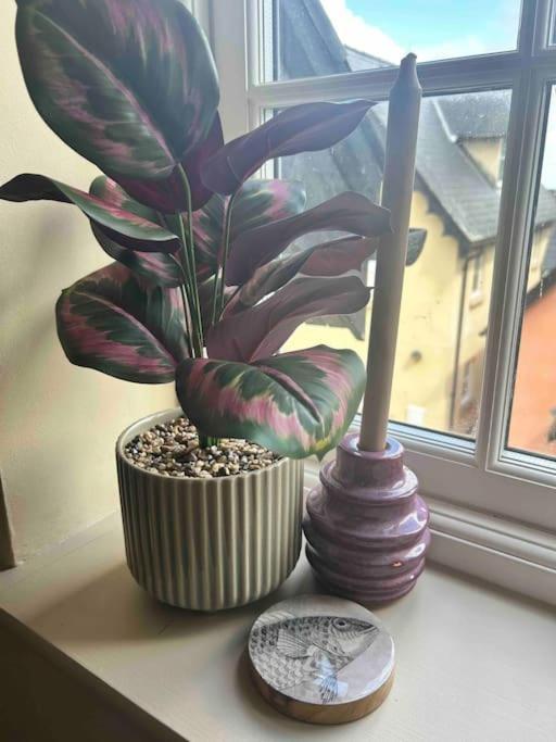 Appartement Rhodewood House Saundersfoot Extérieur photo
